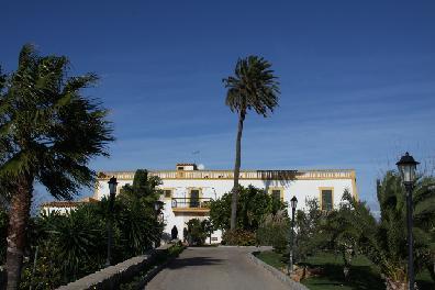 Son Manera Hotel Rural Montuiri (Mallorca) Exterior foto